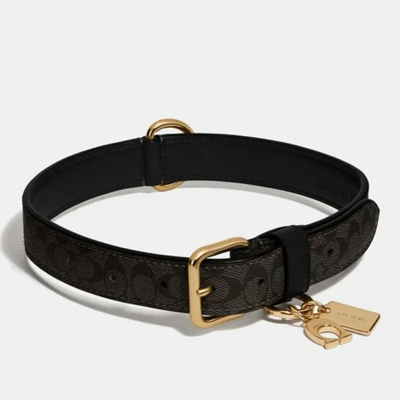 coach pet collar